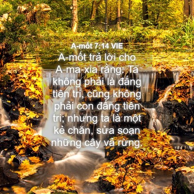 Picture 04 - A-mốt 7:14 VIE - A-mốt trả lời cho A-ma-xia rằng: Ta - Bible Verse Picture