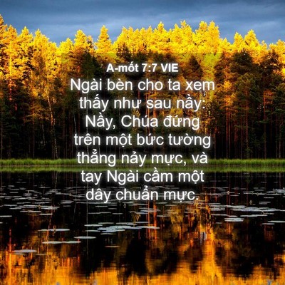 Picture 04 - A-mốt 7:7 VIE - Ngài bèn cho ta xem thấy như sau nầy: - Bible Verse Picture