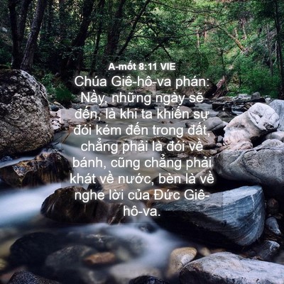 Picture 04 - A-mốt 8:11 VIE - Chúa Giê-hô-va phán: Nầy, những ngày - Bible Verse Picture