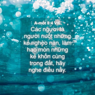 Picture 04 - A-mốt 8:4 VIE - Các ngươi là người nuốt những kẻ - Bible Verse Picture