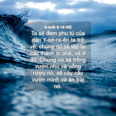 Picture 04 - A-mốt 9:14 VIE - Ta sẽ đem phu tù của dân Y-sơ-ra-ên ta - Bible Verse Picture