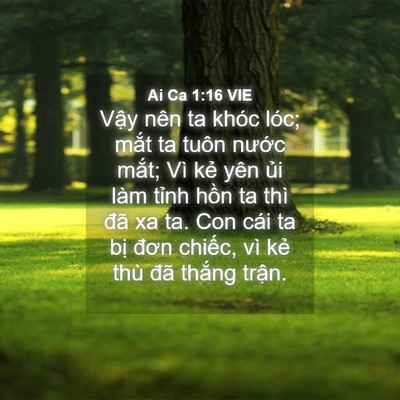 Picture 04 - Ai Ca 1:16 VIE - Vậy nên ta khóc lóc; mắt ta tuôn nước - Bible Verse Picture