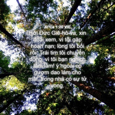 Picture 04 - Ai Ca 1:20 VIE - Hỡi Đức Giê-hô-va, xin đoái xem, vì - Bible Verse Picture