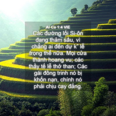 Picture 04 - Ai Ca 1:4 VIE - Các đường lối Si-ôn đang thảm sầu, - Bible Verse Picture