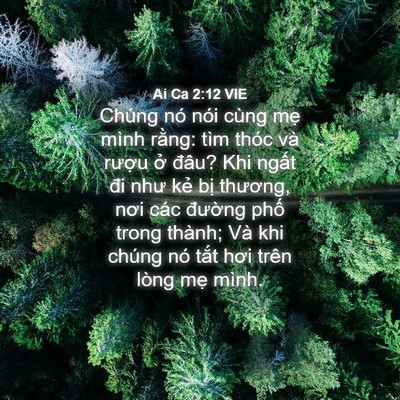 Picture 04 - Ai Ca 2:12 VIE - Chúng nó nói cùng mẹ mình rằng: tìm - Bible Verse Picture