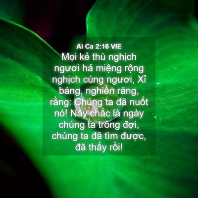 Picture 04 - Ai Ca 2:16 VIE - Mọi kẻ thù nghịch ngươi hả miệng - Bible Verse Picture