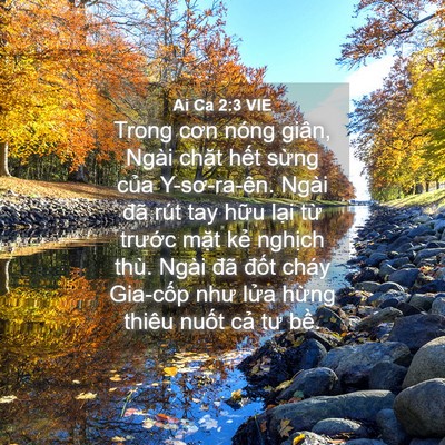 Picture 04 - Ai Ca 2:3 VIE - Trong cơn nóng giận, Ngài chặt hết - Bible Verse Picture