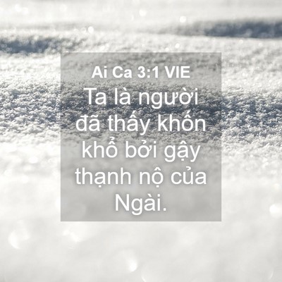 Picture 04 - Ai Ca 3:1 VIE - Ta là người đã thấy khốn khổ bởi - Bible Verse Picture