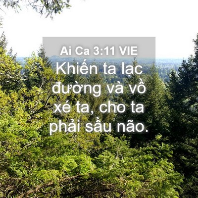 Picture 04 - Ai Ca 3:11 VIE - Khiến ta lạc đường và vồ xé ta, cho - Bible Verse Picture