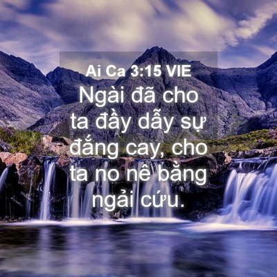 Picture 04 - Ai Ca 3:15 VIE - Ngài đã cho ta đầy dẫy sự đắng cay, - Bible Verse Picture