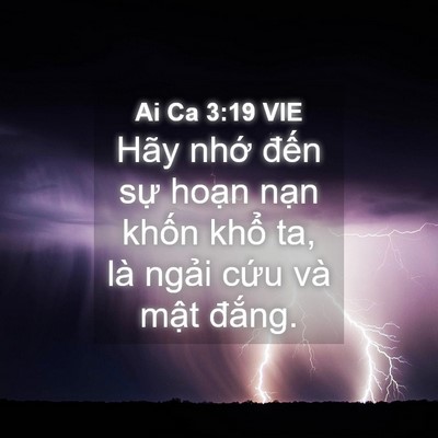 Picture 04 - Ai Ca 3:19 VIE - Hãy nhớ đến sự hoạn nạn khốn khổ - Bible Verse Picture