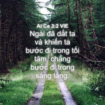 Picture 04 - Ai Ca 3:2 VIE - Ngài đã dắt ta và khiến ta bước đi - Bible Verse Picture