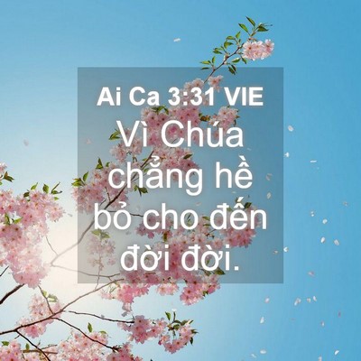Picture 04 - Ai Ca 3:31 VIE - Vì Chúa chẳng hề bỏ cho đến đời - Bible Verse Picture
