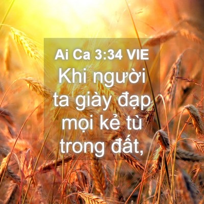 Picture 04 - Ai Ca 3:34 VIE - Khi người ta giày đạp mọi kẻ tù trong - Bible Verse Picture