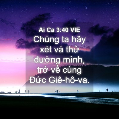 Picture 04 - Ai Ca 3:40 VIE - Chúng ta hãy xét và thử đường mình, - Bible Verse Picture