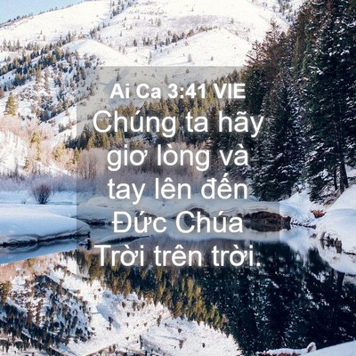 Picture 04 - Ai Ca 3:41 VIE - Chúng ta hãy giơ lòng và tay lên đến - Bible Verse Picture