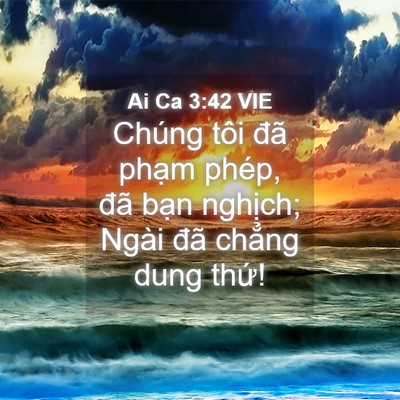 Picture 04 - Ai Ca 3:42 VIE - Chúng tôi đã phạm phép, đã bạn - Bible Verse Picture