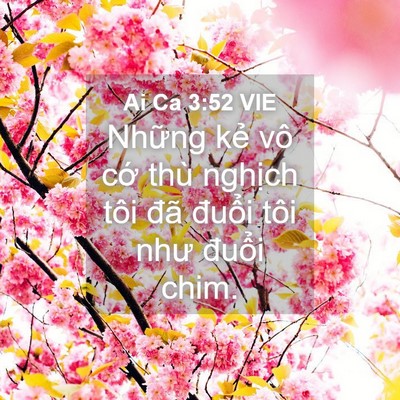 Picture 04 - Ai Ca 3:52 VIE - Những kẻ vô cớ thù nghịch tôi đã - Bible Verse Picture