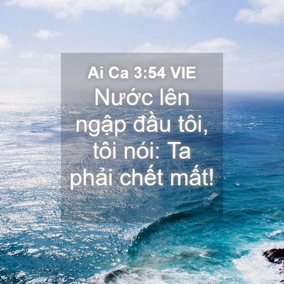 Picture 04 - Ai Ca 3:54 VIE - Nước lên ngập đầu tôi, tôi nói: Ta - Bible Verse Picture