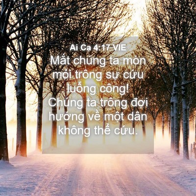 Picture 04 - Ai Ca 4:17 VIE - Mắt chúng ta mòn mỏi trông sự cứu - Bible Verse Picture