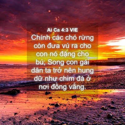 Picture 04 - Ai Ca 4:3 VIE - Chính các chó rừng còn đưa vú ra cho con - Bible Verse Picture