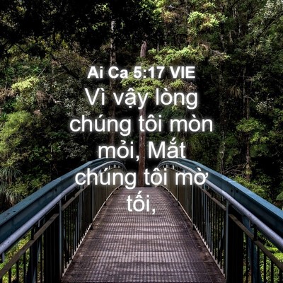 Picture 04 - Ai Ca 5:17 VIE - Vì vậy lòng chúng tôi mòn mỏi, Mắt - Bible Verse Picture