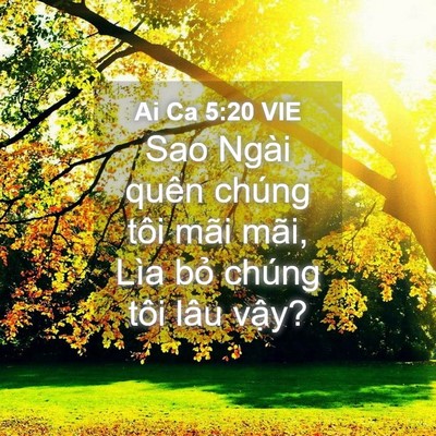 Picture 04 - Ai Ca 5:20 VIE - Sao Ngài quên chúng tôi mãi mãi, Lìa bỏ - Bible Verse Picture
