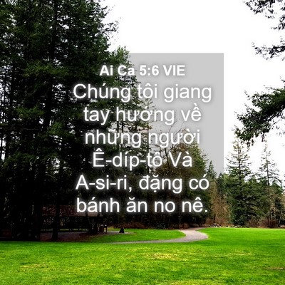 Picture 04 - Ai Ca 5:6 VIE - Chúng tôi giang tay hướng về những - Bible Verse Picture