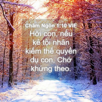 Picture 04 - Châm Ngôn 1:10 VIE - Hỡi con, nếu kẻ tội nhân kiếm thế - Bible Verse Picture