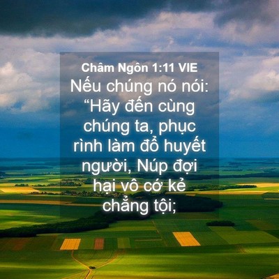 Picture 04 - Châm Ngôn 1:11 VIE - Nếu chúng nó nói: “Hãy đến cùng - Bible Verse Picture