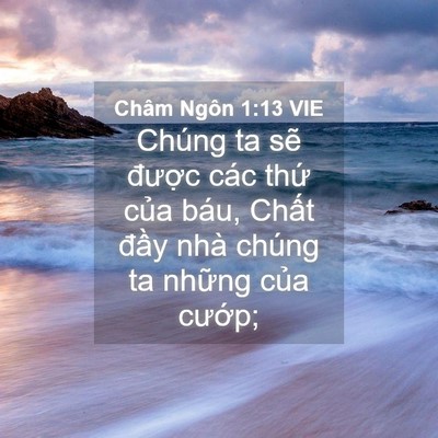 Picture 04 - Châm Ngôn 1:13 VIE - Chúng ta sẽ được các thứ của báu, - Bible Verse Picture