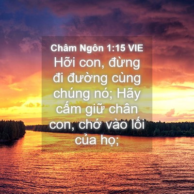Picture 04 - Châm Ngôn 1:15 VIE - Hỡi con, đừng đi đường cùng chúng - Bible Verse Picture
