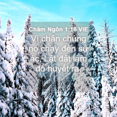 Picture 04 - Châm Ngôn 1:16 VIE - Vì chân chúng nó chạy đến sự ác, - Bible Verse Picture