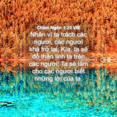 Picture 04 - Châm Ngôn 1:23 VIE - Nhân vì ta trách các ngươi, các ngươi - Bible Verse Picture
