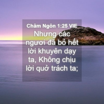 Picture 04 - Châm Ngôn 1:25 VIE - Nhưng các ngươi đã bỏ hết lời khuyên - Bible Verse Picture