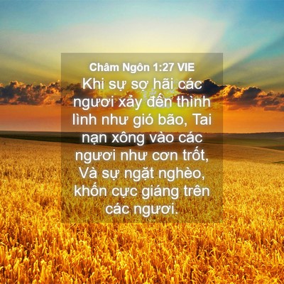 Picture 04 - Châm Ngôn 1:27 VIE - Khi sự sợ hãi các ngươi xảy đến - Bible Verse Picture