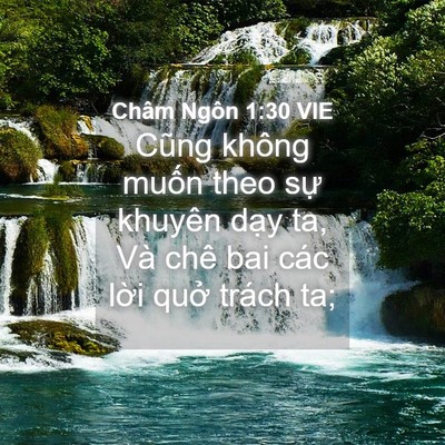 Picture 04 - Châm Ngôn 1:30 VIE - Cũng không muốn theo sự khuyên dạy ta, - Bible Verse Picture