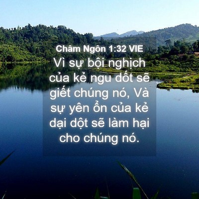 Picture 04 - Châm Ngôn 1:32 VIE - Vì sự bội nghịch của kẻ ngu dốt sẽ - Bible Verse Picture