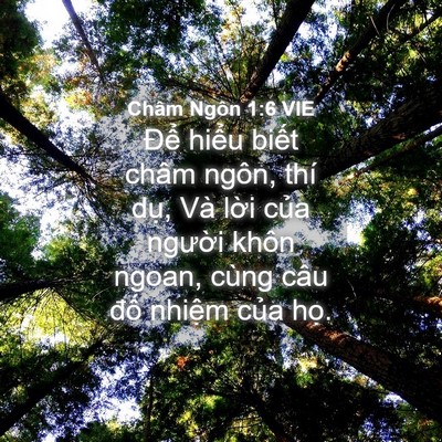 Picture 04 - Châm Ngôn 1:6 VIE - Để hiểu biết châm ngôn, thí dụ, Và - Bible Verse Picture
