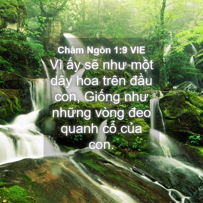 Picture 04 - Châm Ngôn 1:9 VIE - Vì ấy sẽ như một dây hoa trên đầu - Bible Verse Picture