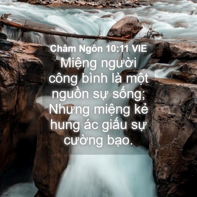 Picture 04 - Châm Ngôn 10:11 VIE - Miệng người công bình là một nguồn - Bible Verse Picture