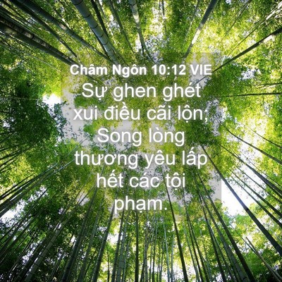 Picture 04 - Châm Ngôn 10:12 VIE - Sự ghen ghét xui điều cãi lộn; Song - Bible Verse Picture