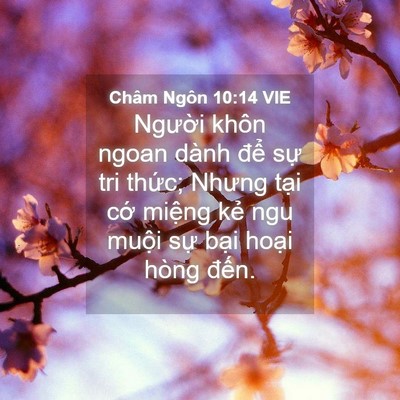 Picture 04 - Châm Ngôn 10:14 VIE - Người khôn ngoan dành để sự tri thức; - Bible Verse Picture
