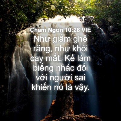 Picture 04 - Châm Ngôn 10:26 VIE - Như giấm ghê răng, như khói cay mắt, - Bible Verse Picture