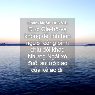 Picture 04 - Châm Ngôn 10:3 VIE - Đức Giê-hô-va không để linh hồn - Bible Verse Picture