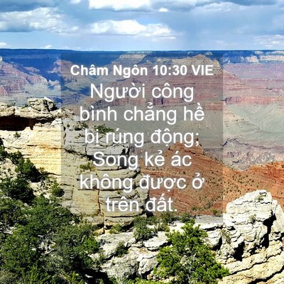 Picture 04 - Châm Ngôn 10:30 VIE - Người công bình chẳng hề bị rúng - Bible Verse Picture