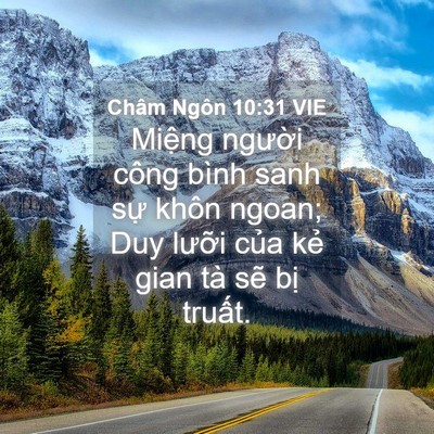 Picture 04 - Châm Ngôn 10:31 VIE - Miệng người công bình sanh sự khôn - Bible Verse Picture
