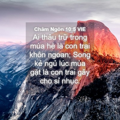 Picture 04 - Châm Ngôn 10:5 VIE - Ai thâu trữ trong mùa hè là con trai khôn - Bible Verse Picture