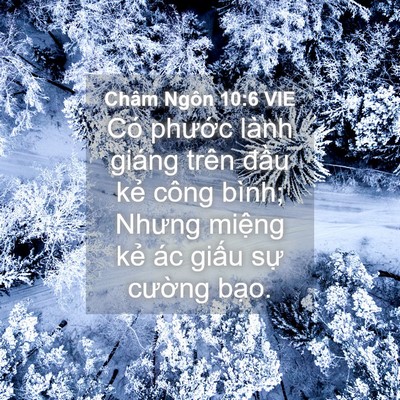 Picture 04 - Châm Ngôn 10:6 VIE - Có phước lành giáng trên đầu kẻ công - Bible Verse Picture
