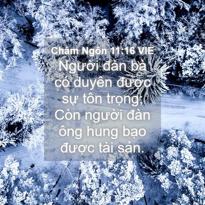 Picture 04 - Châm Ngôn 11:16 VIE - Người đàn bà có duyên được sự tôn - Bible Verse Picture